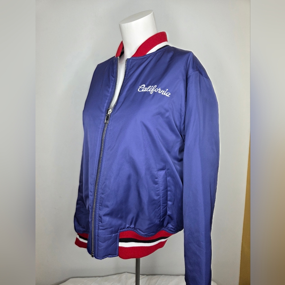 NWT Forever 21 Size L Stylish Blue Jacket with Bold Stripes - Picture 3 of 13